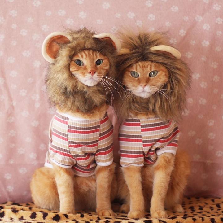 D2f35920 b730 422e 8efe 0f5346187ad3 1699357511588