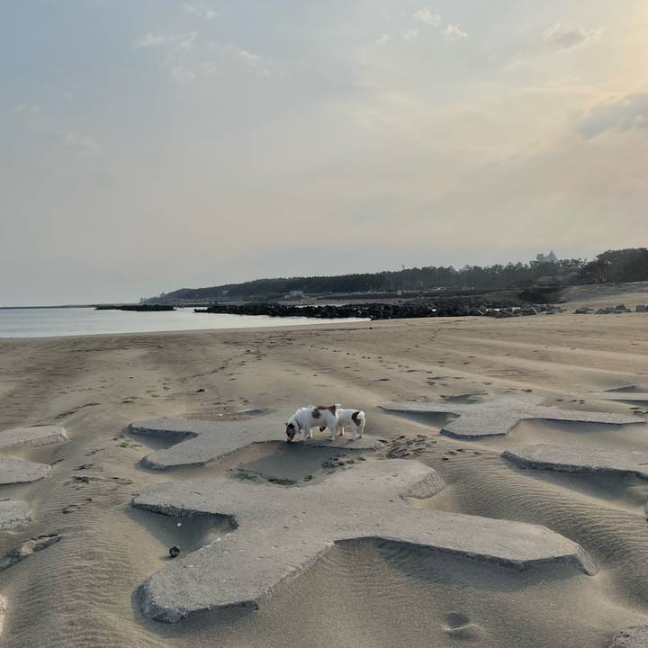 D2f3862e 7d25 4309 873b 4f6e0a5bde19 1742858555719