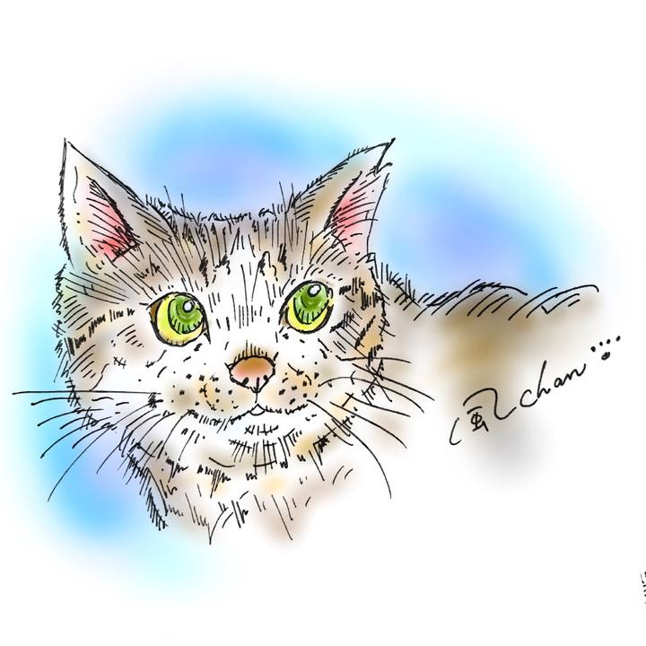 D2f39395 655f 4a59 807e f3c30a24d26d 1581958389227