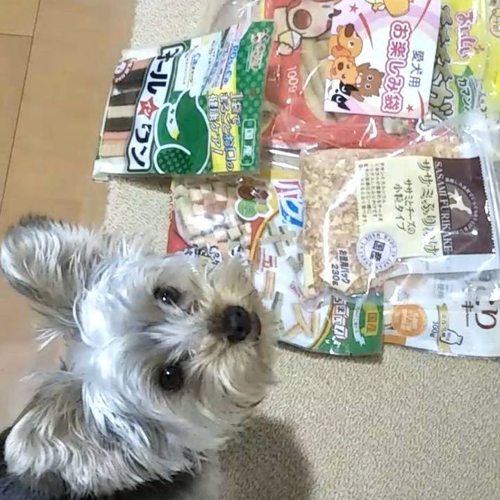 D2f396d3 9b7d 4bd6 9a60 ae5377ac82bb 1546524520588