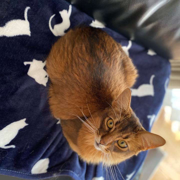 D2f3cf87 b1e2 4157 9487 7becb80d2dc8 1642118894060