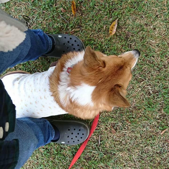 D2f3e414 8223 44b0 a358 40f1512f7225 1509590668679