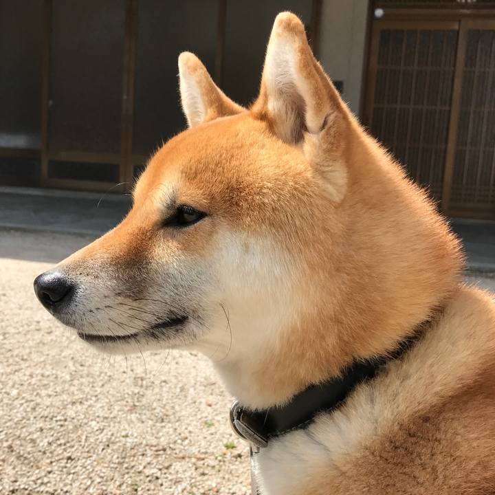 D2f405e3 c0c9 4e9e bc34 4813c076f854 1522799555914