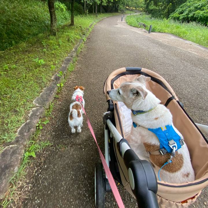 D2f41276 4de0 4f3a a384 8bc8563643e4 1717370633314