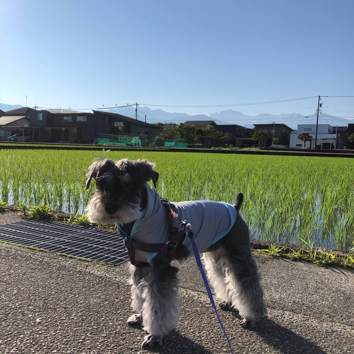 D2f4186c f376 4fc4 a679 a05a1de20277 1686957887259