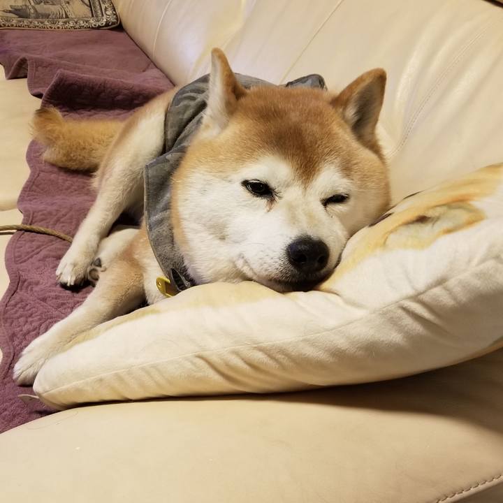 D2f4537c 9761 491e a9e0 07409a7cb0f5 1647681836471