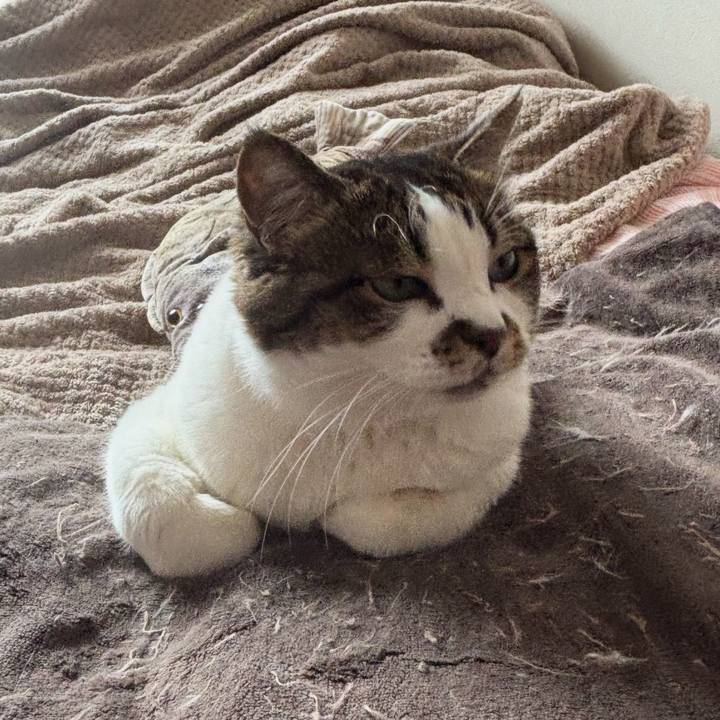 D2f4aeaf 4439 4890 a48f 08d872556256 1762471190288