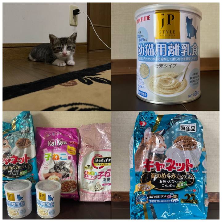 D2f4b3ef 1d76 4085 972a 7f860bf2f49f 1720942412926