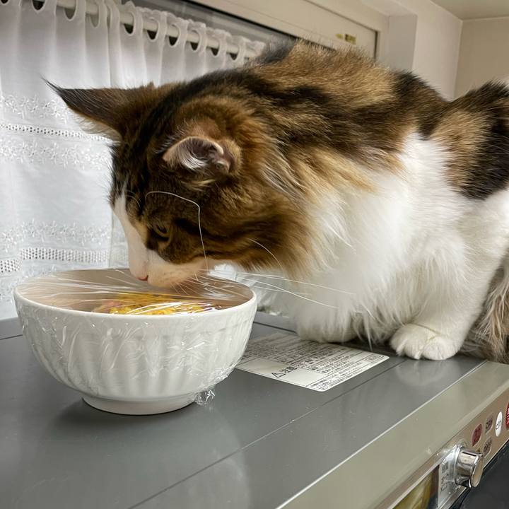 D2f4c0a7 dcae 46c8 af03 4fc0827fdbd6 1646425546321