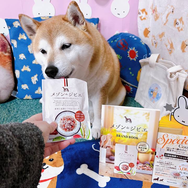 D2f4e3a7 a1ba 49b9 a69c 9ff90ea96265 1677981233716