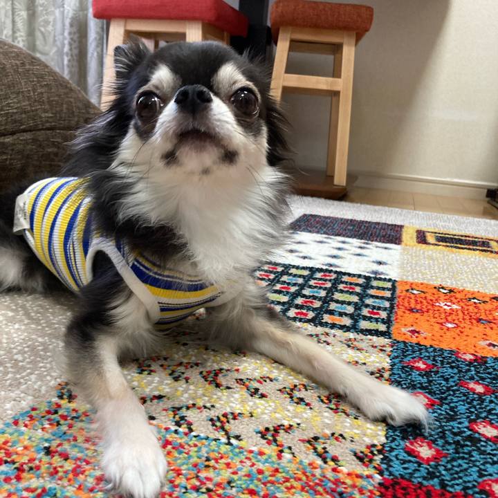 D2f4ef35 1ab6 4959 b857 5c779c011d31 1696777097520