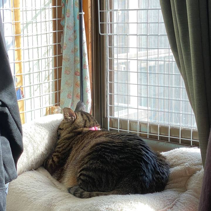 D2f504aa ea38 4990 a286 d1efdbf6b380 1607908205305