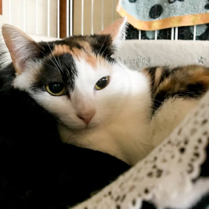 D2f505f0 deea 49f0 90b6 3c9a01029354 1516677145915