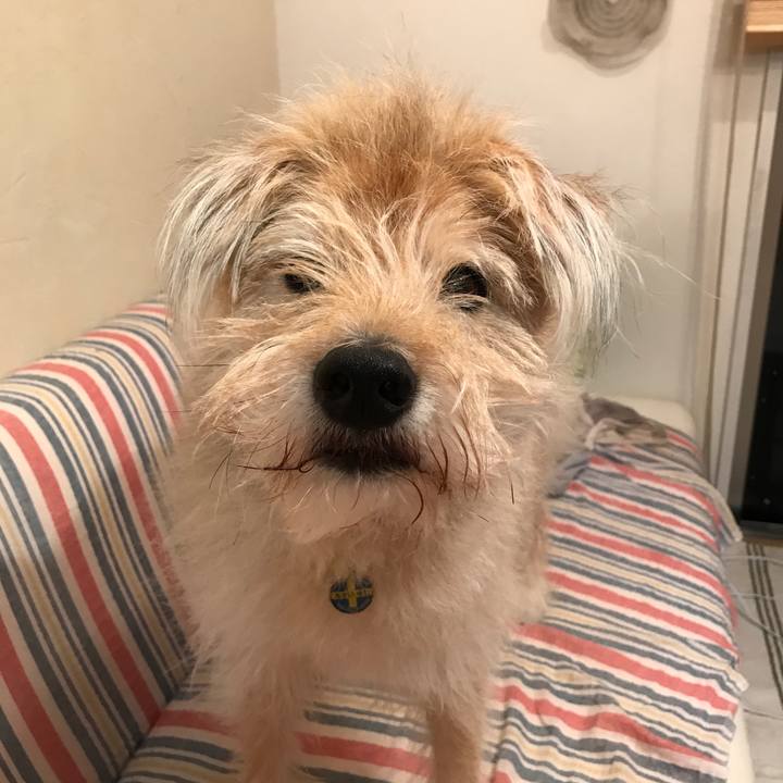 D2f51aa2 c16d 4e98 9d96 8a171d376ec2 1561981492164