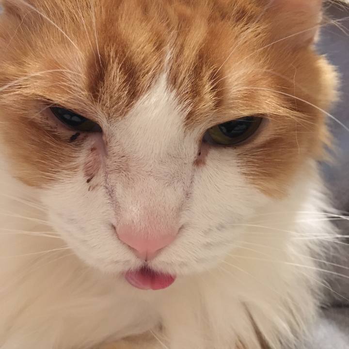 D2f539d9 e583 41a8 a253 45475235a7a2 1579174744040