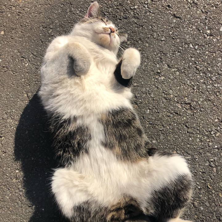 D2f578b6 71d7 4b76 a7ff c69958b332fe 1608619135201