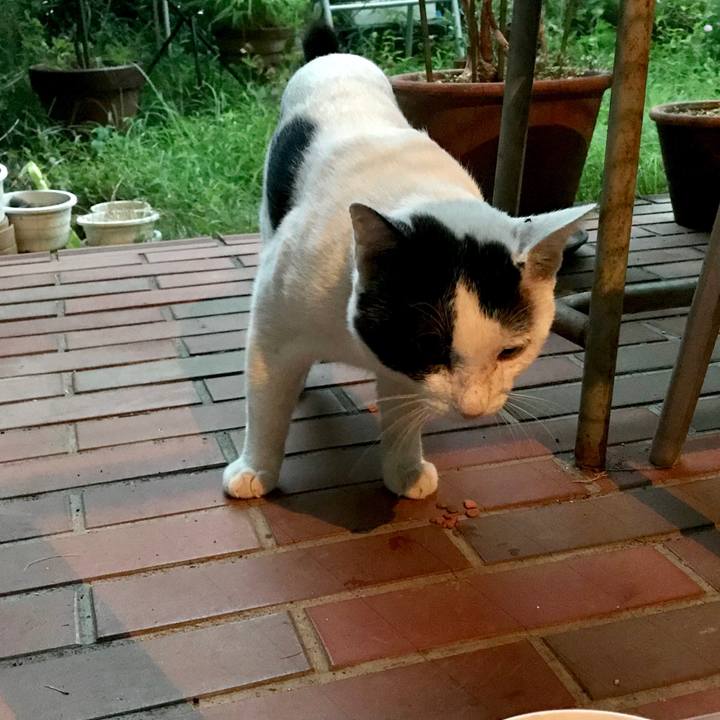 D2f58d8a b243 46d6 ab88 cb3feadea228 1532351085518