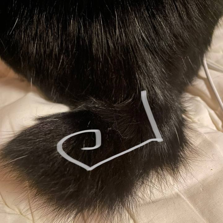 D2f5cef4 84fb 4832 b49b 2cc3cd2f8712 1654619488542