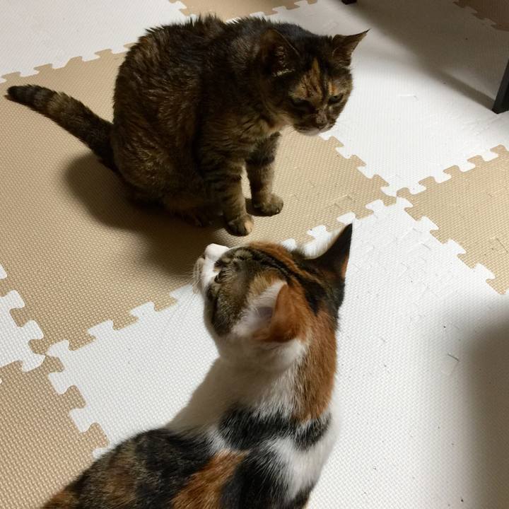 D2f5d5b8 438b 4fbe b102 a6911a7ab1d3 1646642644517