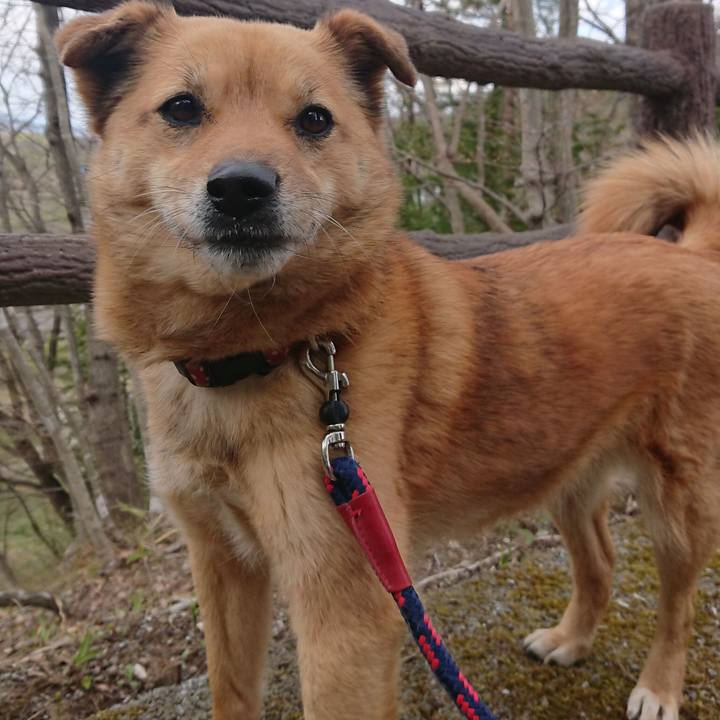 D2f5d96a 941b 45f9 882b 721f2828814b 1589598051884