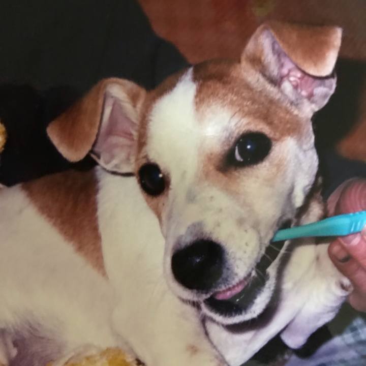 D2f6004c fc0e 4607 bf0a 900d4a929ed1 1567350149208