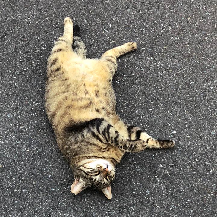 D2f61a64 d9fe 4b79 875a 39d430378773 1530409550548