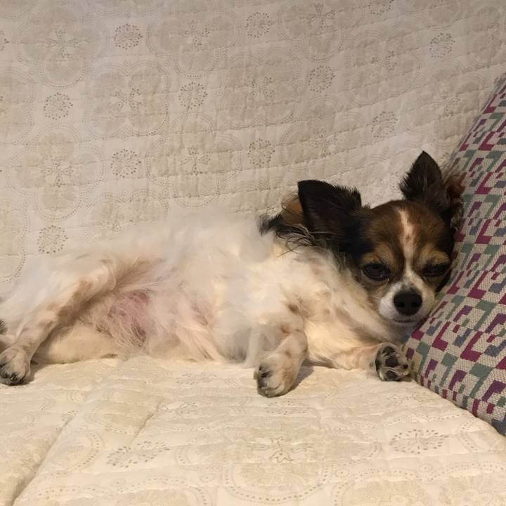 D2f63858 e3e7 4abe abf6 eb4151d2ce75 1571726351557