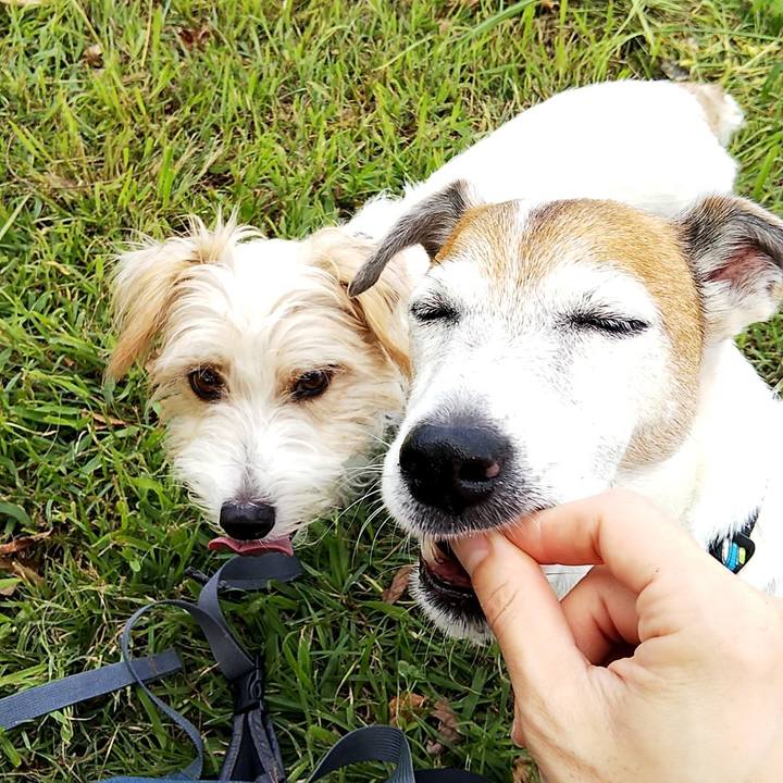 D2f65da7 5098 45c9 8aaa 3f4e9024591d 1537082444810