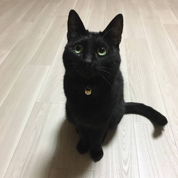 D2f6802f f71a 4c2f 96ee bf07b0408627 1514908265895