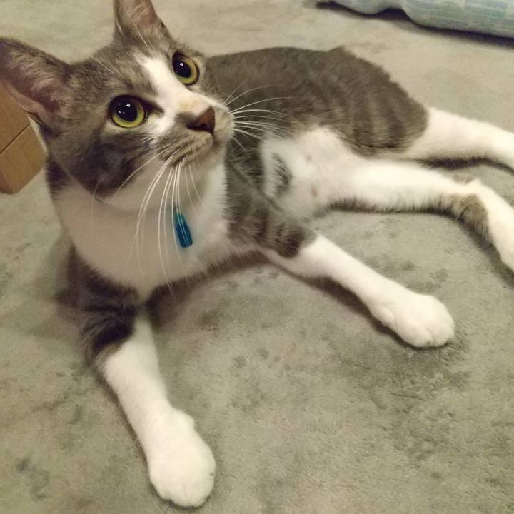 D2f69193 9b33 4529 8602 6ae70998793c 1596897567280