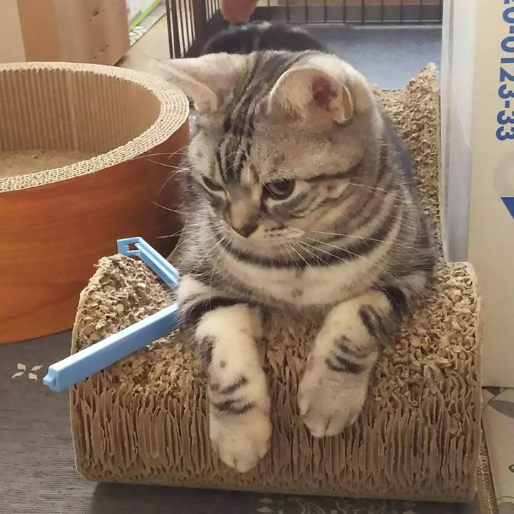 D2f6a81a f70f 44ed 9537 c078e3f784ca 1578994759654