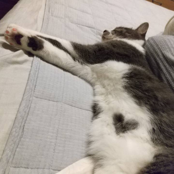 D2f6ed69 7a13 47e2 9ad6 7ef306469bbd 1625138491099