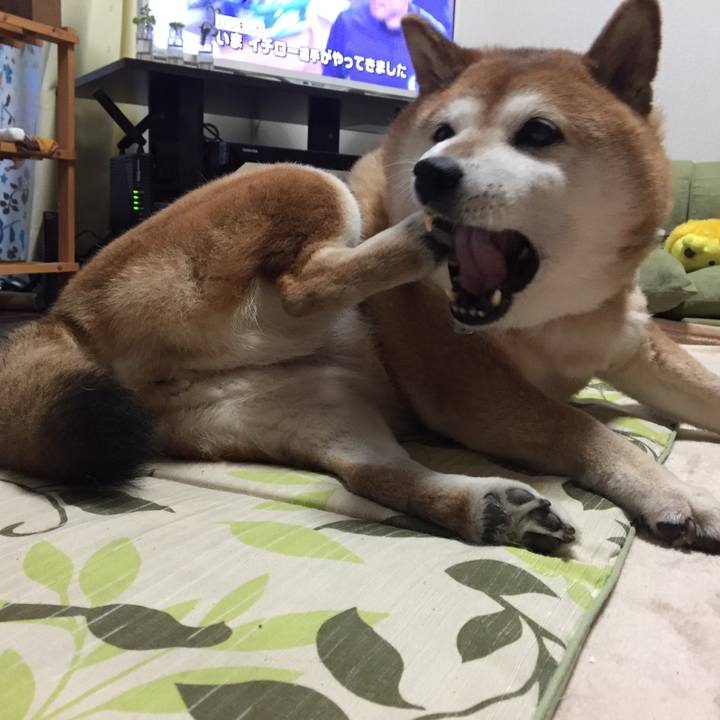 D2f72256 5348 43b1 a530 4820fd73c763 1525597707445