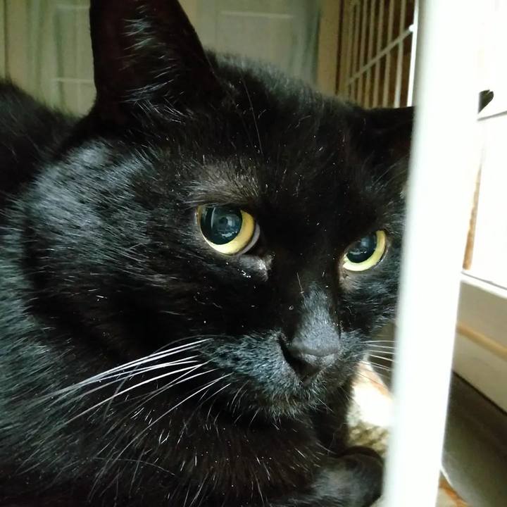 D2f7824d a3cb 4207 aebd 06a271114c01 1660711471376