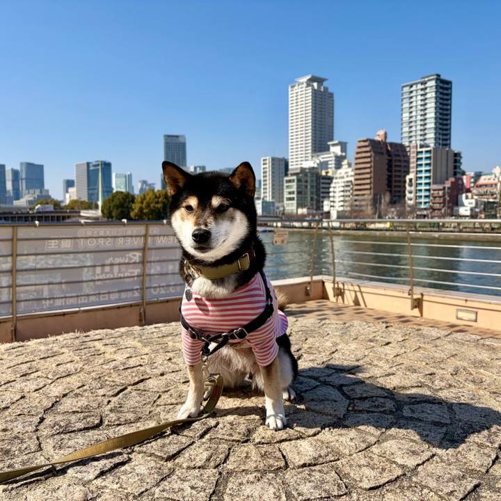 D2f7a5c5 27f6 46b8 9380 050af4da63b8 1771680172203