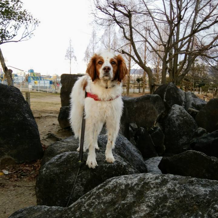 D2f7d087 cacb 415e b69c bc6f7cab7739 1550653167768