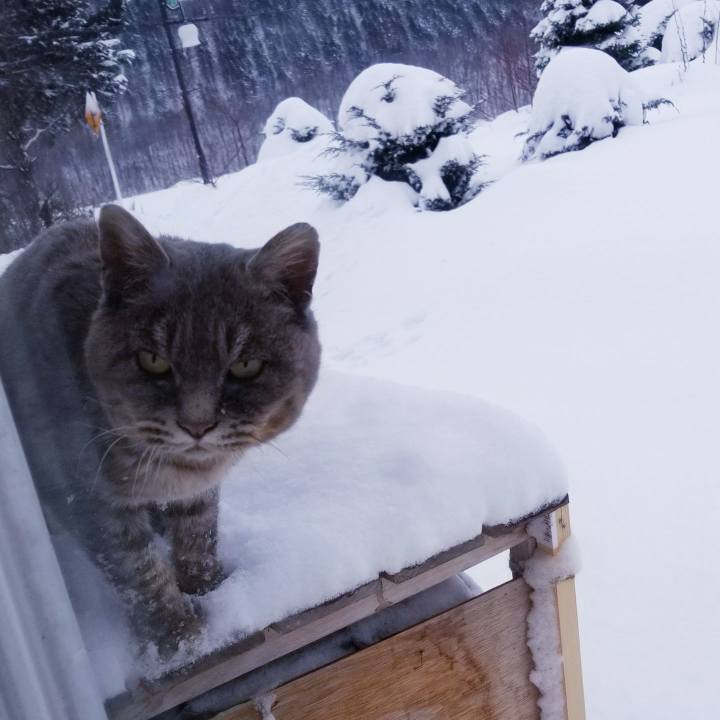 D2f7d108 1adb 40e6 9c9d b8cfe2fecb80 1546214585657