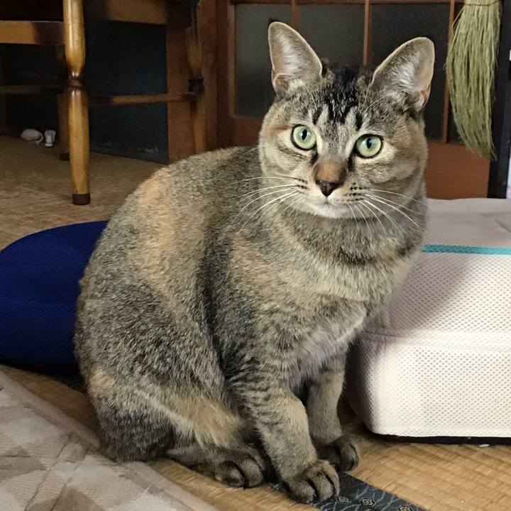 D2f7f0b1 96a9 49c2 a9f1 c88d4643ed43 1579141759225