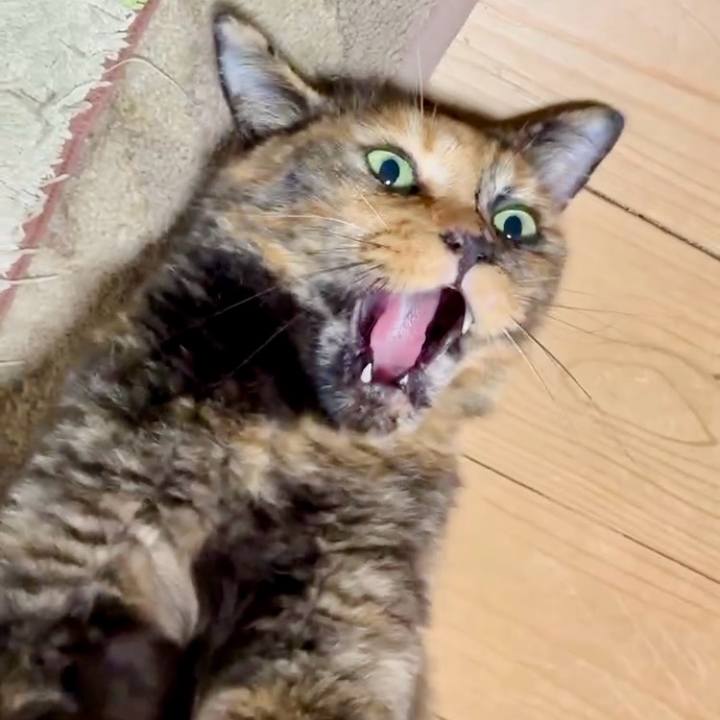 D2f80190 dcda 469d a6cf bc52e3180179 1756761147652