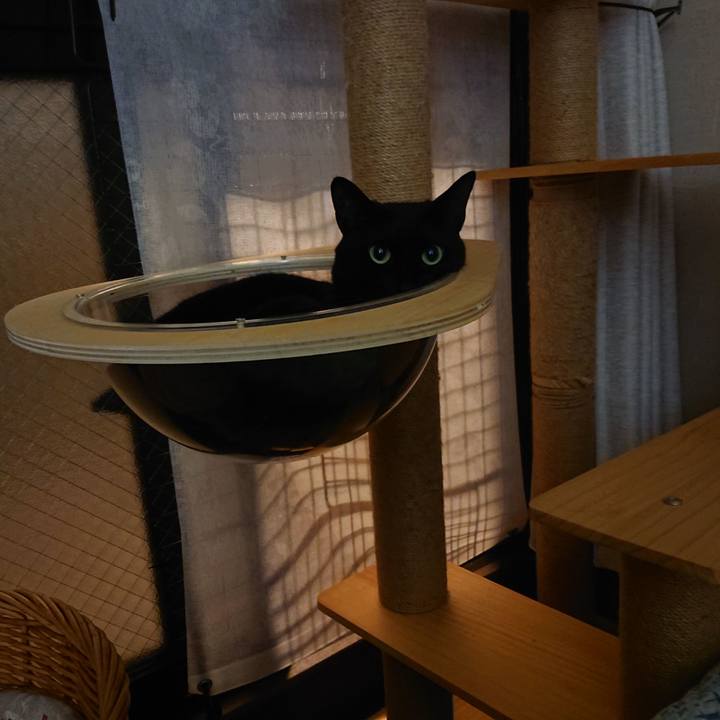 D2f8347a da91 43ee 9ee0 95d6911da504 1657584003500