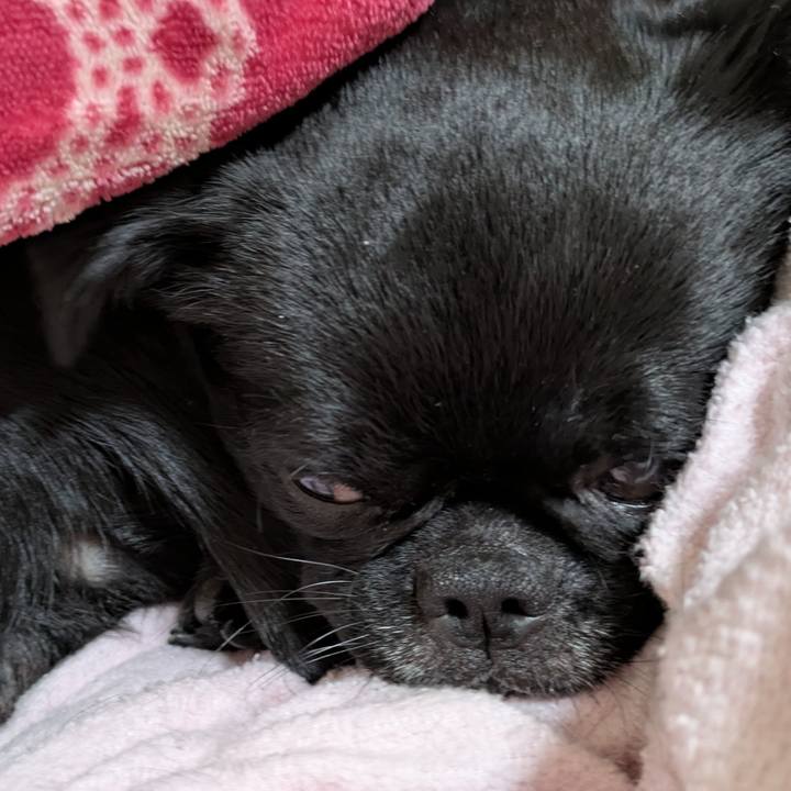 D2f846a1 1d30 42ce 943a 06ecca56f6de 1762350613913