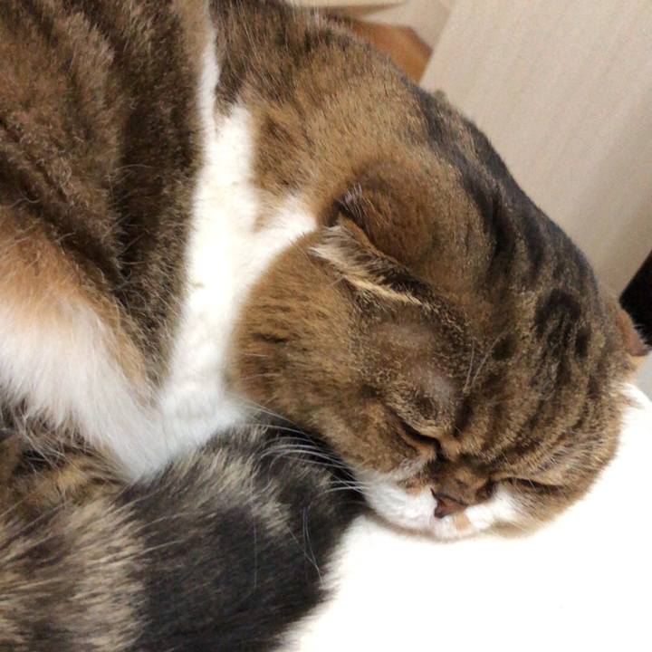 D2f8652d 981d 4781 955b 1279034f8bbd 1541670079225