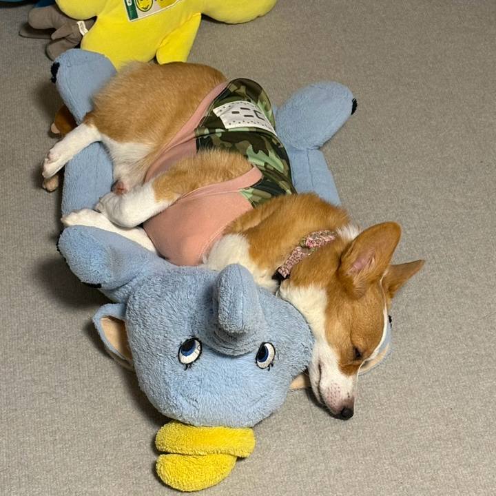 D2f872dc 2c4f 4ba7 8fbd 88dd55de72f7 1771453545495