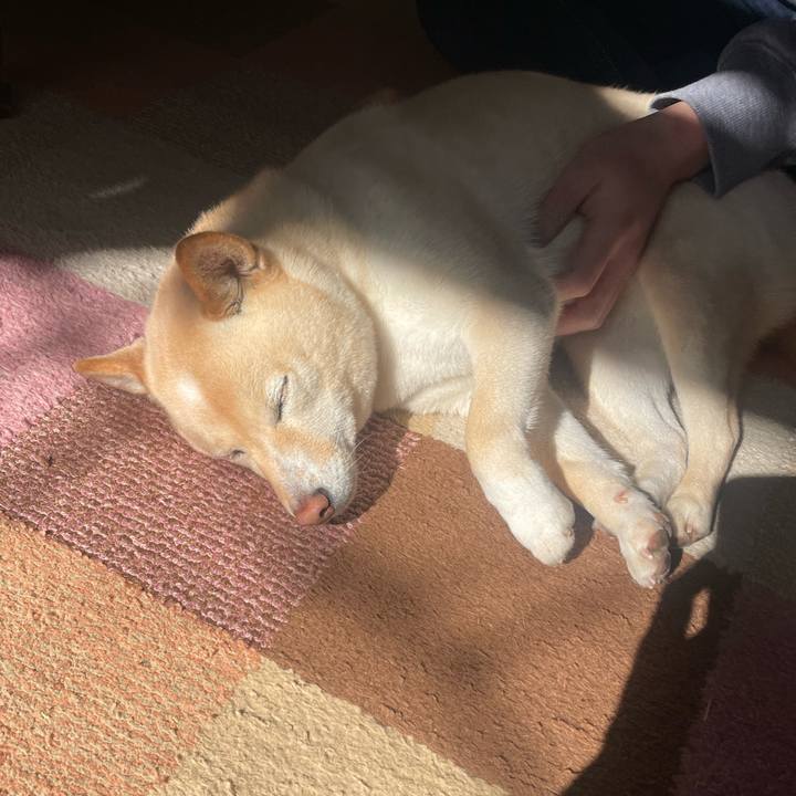 D2f8ac43 7174 473f 8269 607f32735054 1675767628759