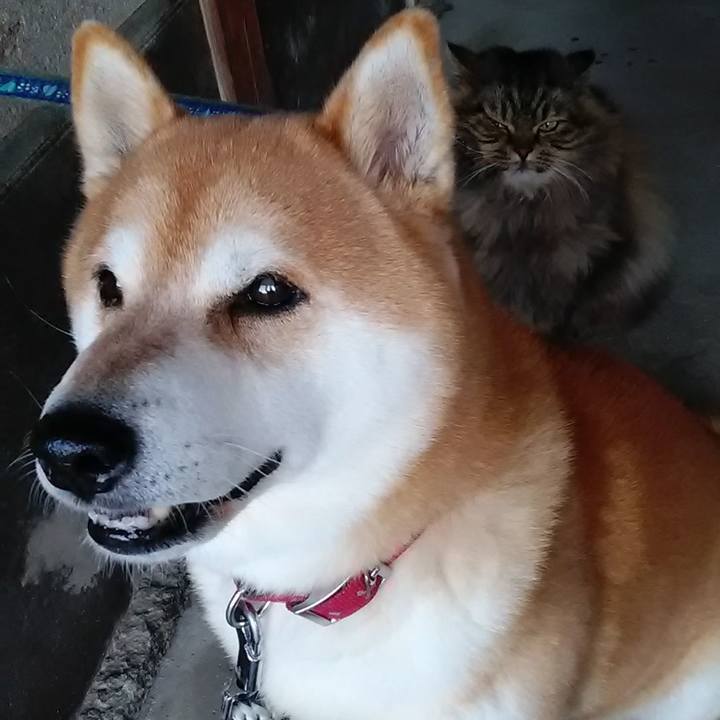 D2f8e47e 6523 4f61 afcf e1558157b6fd 1673340326288