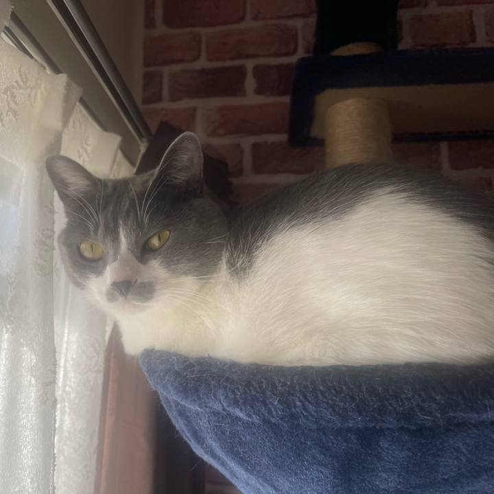 D2f8f0c9 8c8d 4a5c 8e47 eb0059737acf 1672711206005