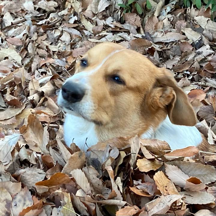 D2f90eba 4c5b 4b1f a733 ca57ff9ca48c 1674029399332