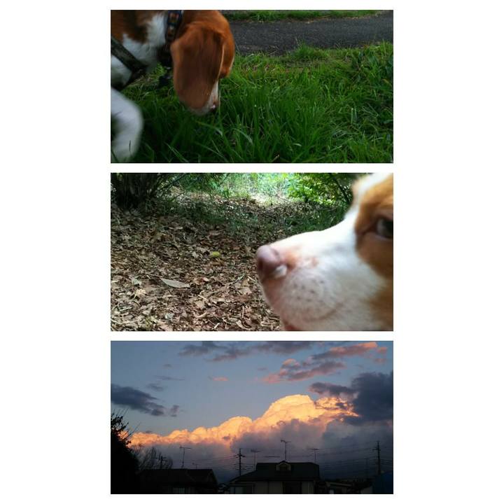 D2f912d7 282c 4f7d 921f 6bae62cd6be3 1541895780781