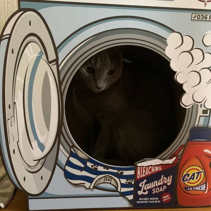 D2f923a5 e50f 4d5c 8e97 f2e0172ddd73 1629957425394