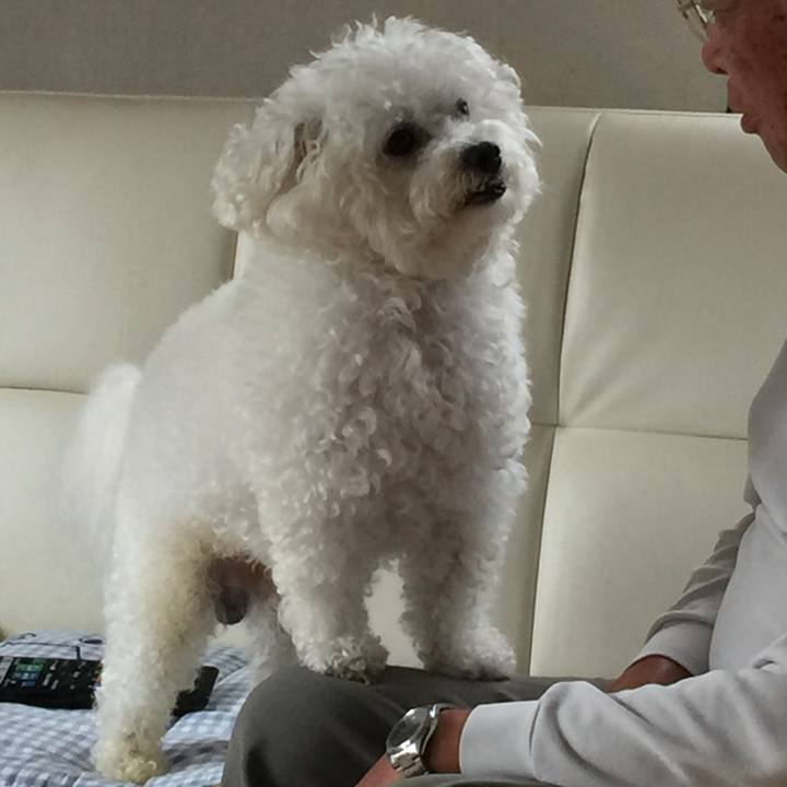 D2f92d16 d1f4 4d2e bb5f 026cb8253fa6 1538292885229